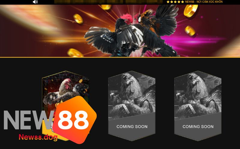 Đá Gà Tại New88